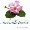 Sundaville basket